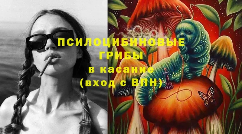 Псилоцибиновые грибы Psilocybine cubensis  кракен как зайти  Катав-Ивановск 